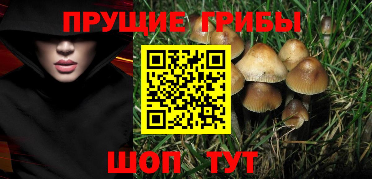 Галлюциногенные грибы мухоморы Архангельск